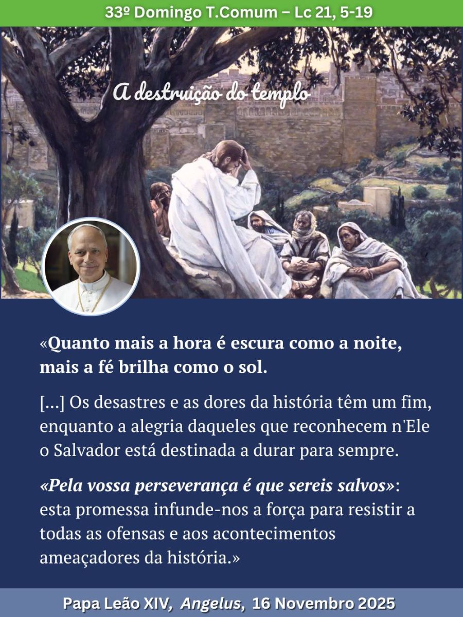 Escuta o Papa: 33º Domingo&nbsp;T.Comum